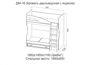 ДМ-16 Кровать двухъярусная с ящиком в Кизеле - kizel.магазин96.com | фото