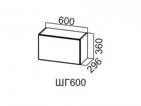 ШГ600/360 Шкаф навесной 600/360 (горизонт.) в Кизеле - kizel.магазин96.com | фото