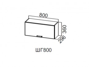 ШГ800/360 Шкаф навесной 800/360 (горизонт.) в Кизеле - kizel.магазин96.com | фото