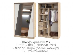 шкаф-купе ПШ-2.9 1500 Норд Белый жемчуг 1500 в Кизеле - kizel.магазин96.com | фото