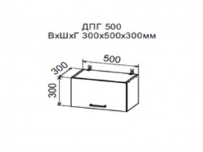 Шкаф верхний ДПГ500 горизонтальный в Кизеле - kizel.магазин96.com | фото