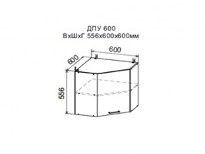 Шкаф верхний ДПУ600 угловой в Кизеле - kizel.магазин96.com | фото